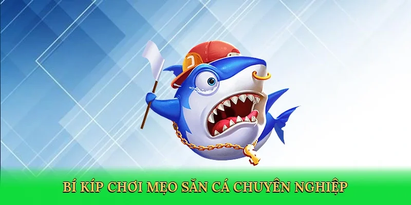 Bí kíp chơi mẹo săn cá chuyên nghiệp