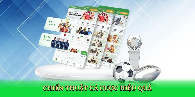 Chiến thuật cá cược hiệu quả
