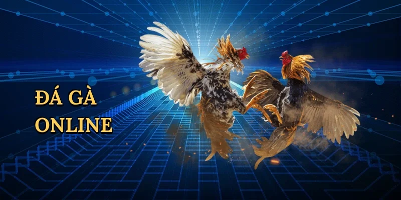 Đá gà online