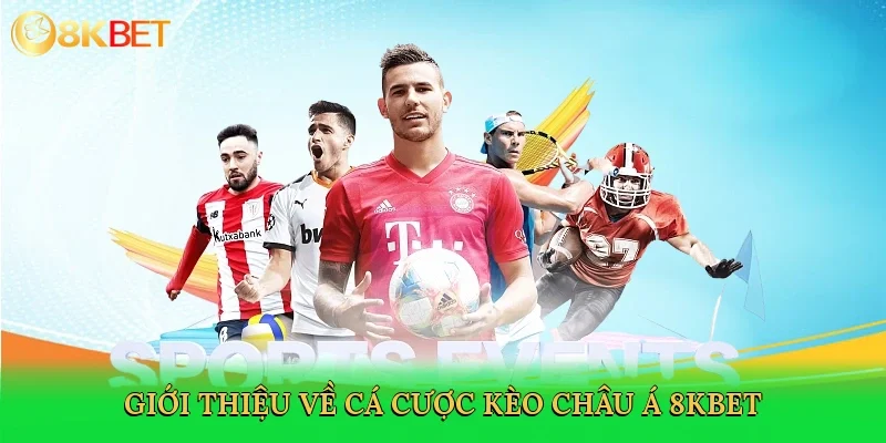 gioi-thieu-ve-ca-cuoc-keo-chau-a-8kbet-2