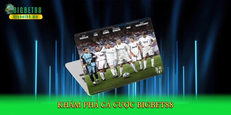 Khám phá cá cược Bigbet88
