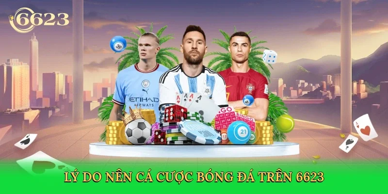 ly-do-nen-ca-cuoc-bong-da-tren-6623-3