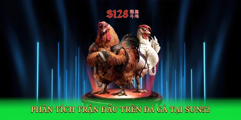 Phân tích trận đấu trên đá gà tại Sun52