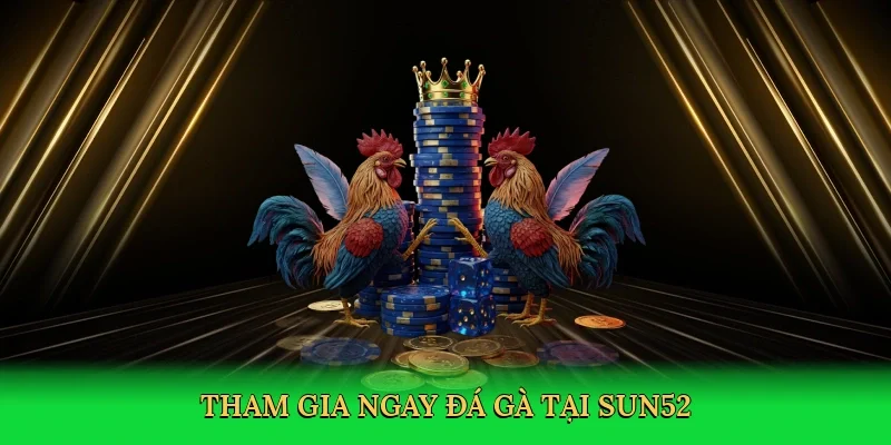 Tham gia ngay đá gà tại Sun52