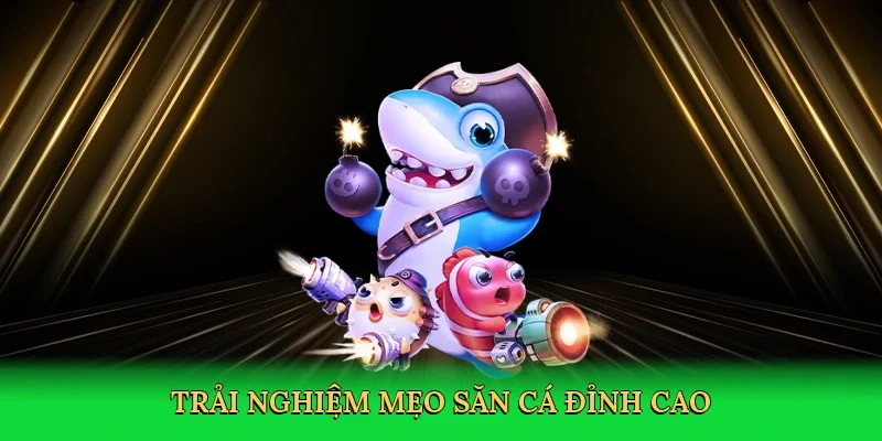 Trải nghiệm mẹo săn cá đỉnh cao