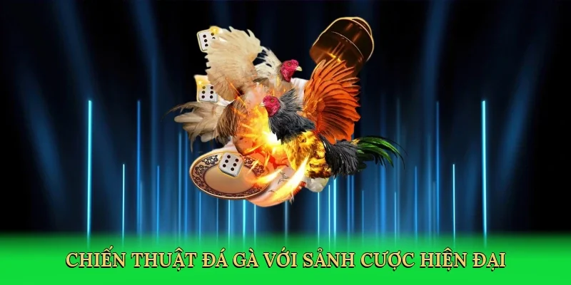 Chiến thuật đá gà với sảnh cược hiện đại