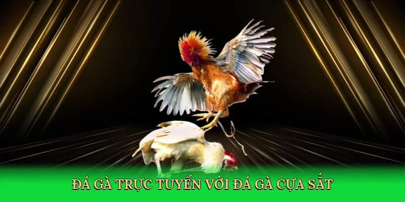 Đá gà trực tuyến với đá gà cựa sắt