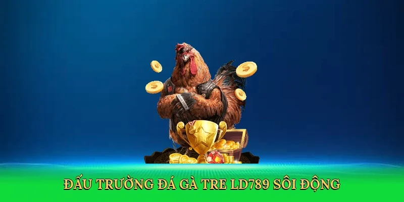 Đấu trường đá gà tre LD789 sôi động